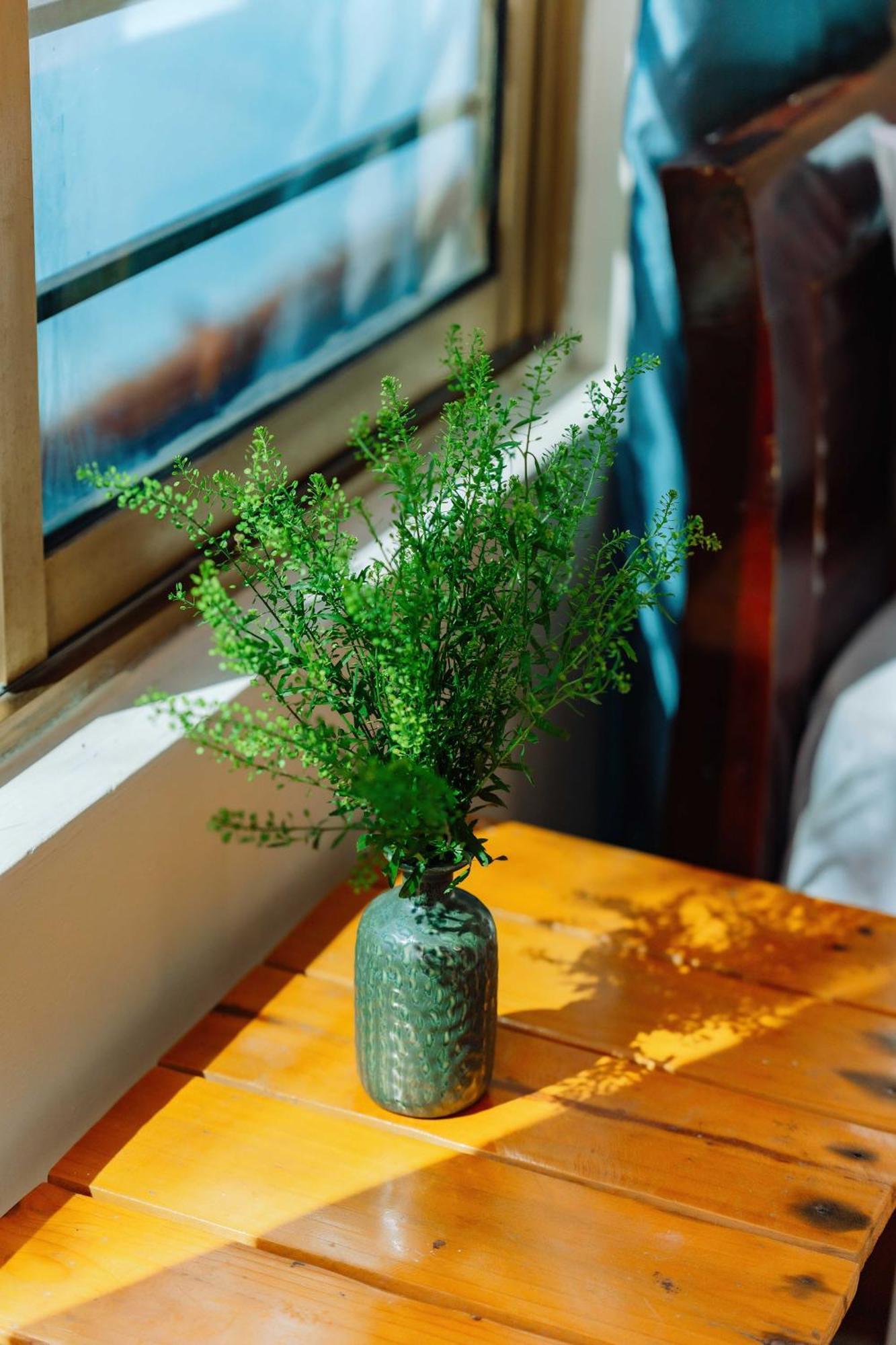 Luna'S House Hostel Chan Chau Εξωτερικό φωτογραφία
